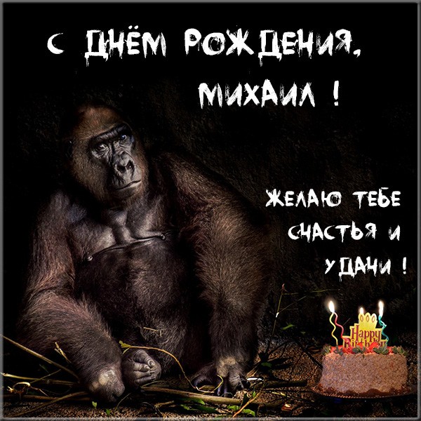 Поздравления С Днем Рождения Михаила Прикольные