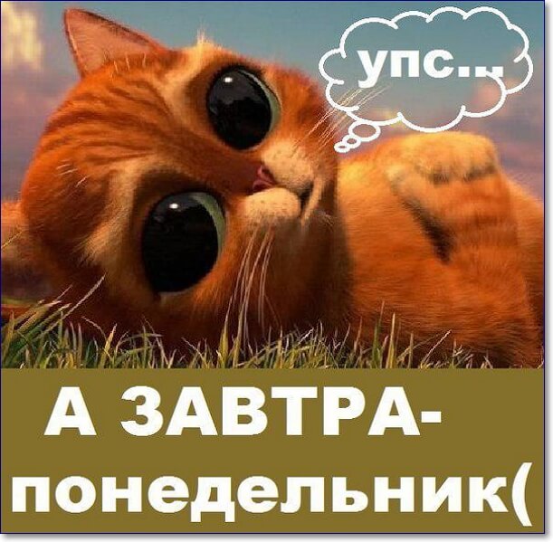 https://cdn.humoraf.ru/wp-content/uploads/2018/10/c-ponedelnikom-kartinki-prikolnye-humoraf.ru-14.jpg
