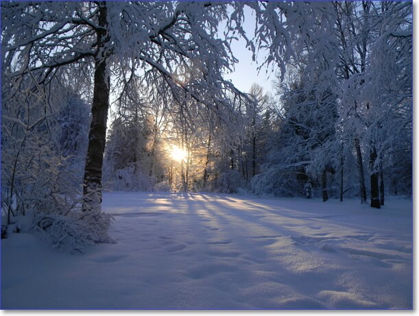 Зимнее утро картинки красивые с надписью