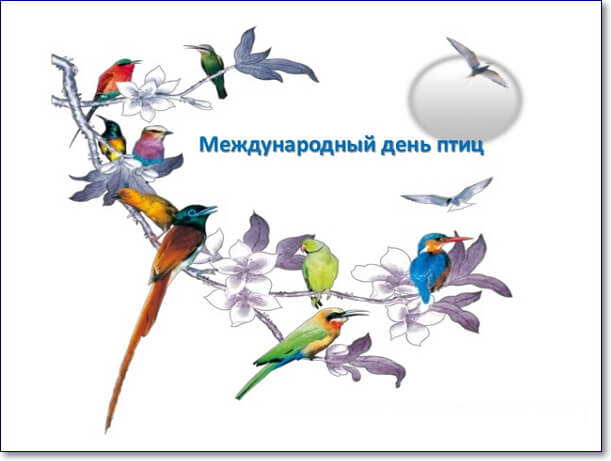 Международный день птиц