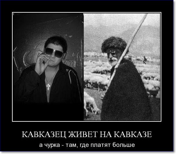 Смешные картинки про кавказцев