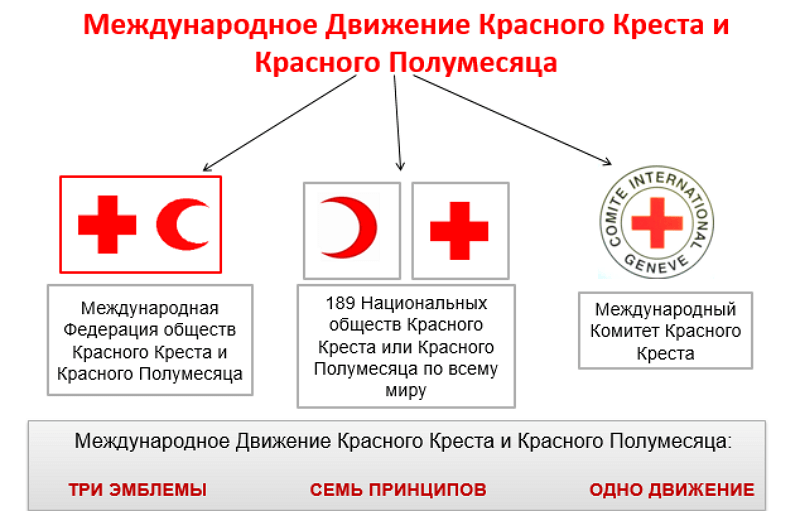 Белорусское общество красного креста презентация