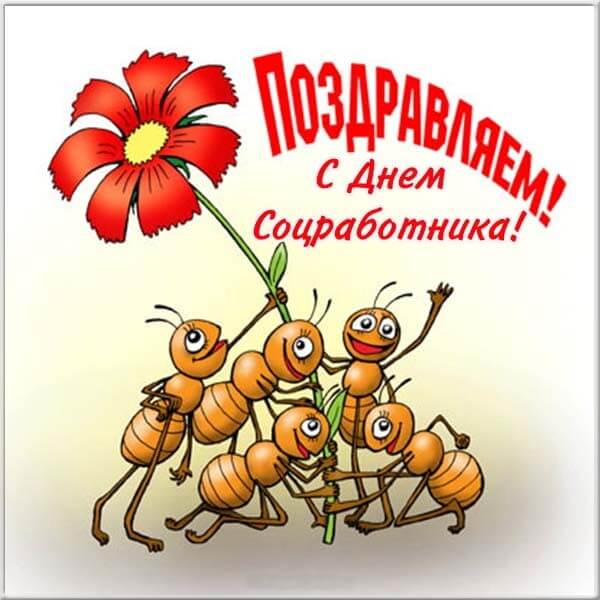 krasivye kartinki den sotsialnogo rabotnika v rossii humoraf ru 38