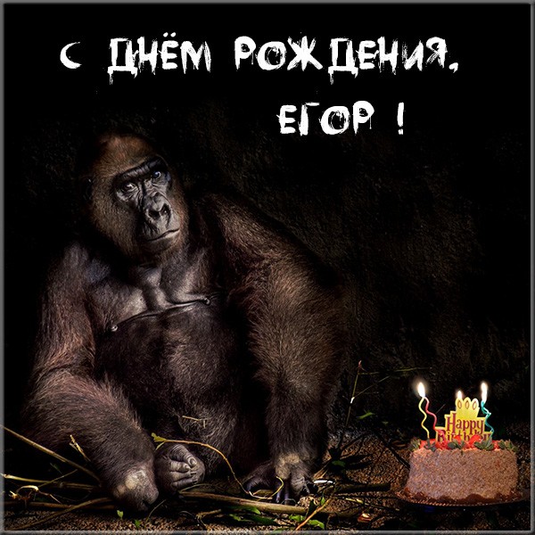 Красивые картинки с днём рождения Егор