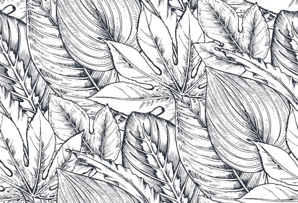 Рисунки для срисовки экзотических листьев