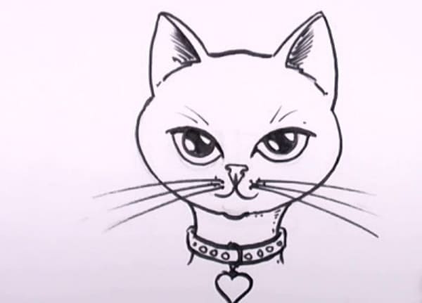 Рисунки котиков милых и няшных для срисовки