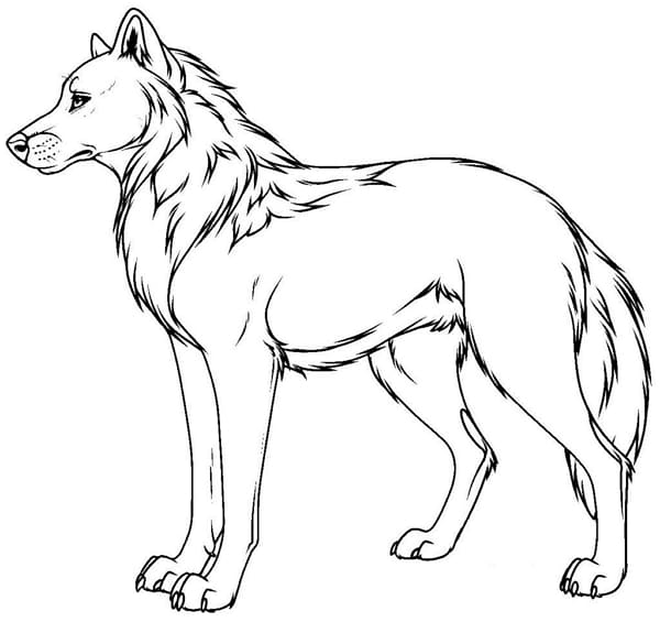 Рисунки волков аниме для срисовки