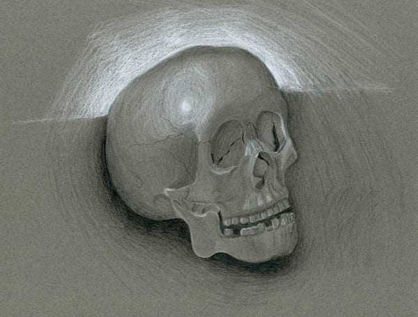 Рисунки черепа карандашом для начинающих